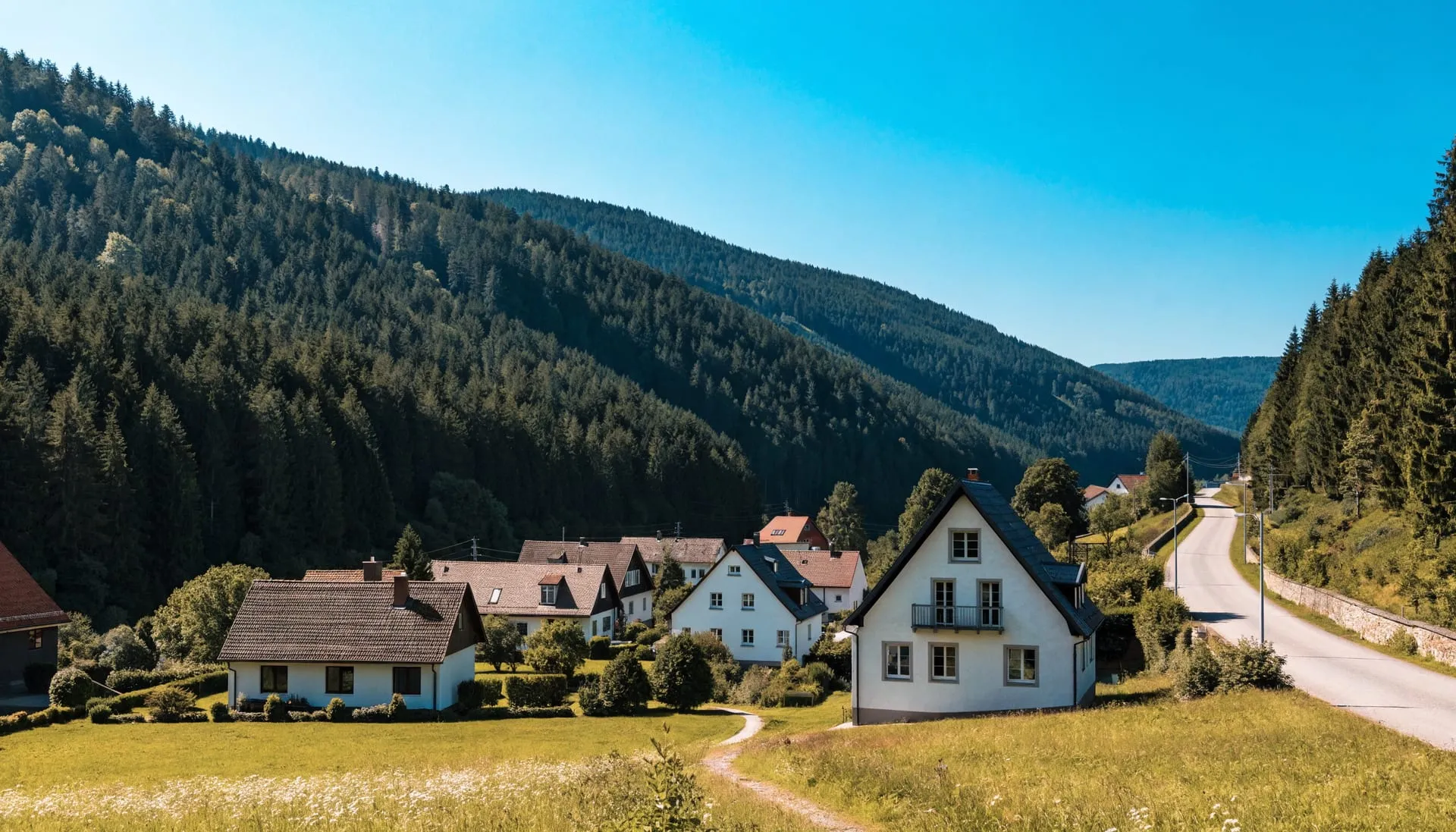 Schädlingsbekämpfung in Donaueschingen